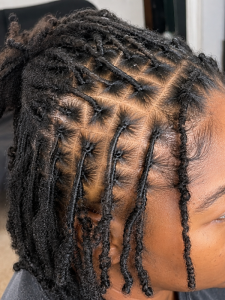comb-coil-starter-locs