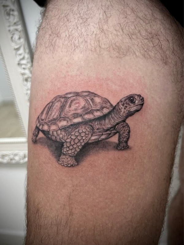 turtle-animal-tattoo-meanings