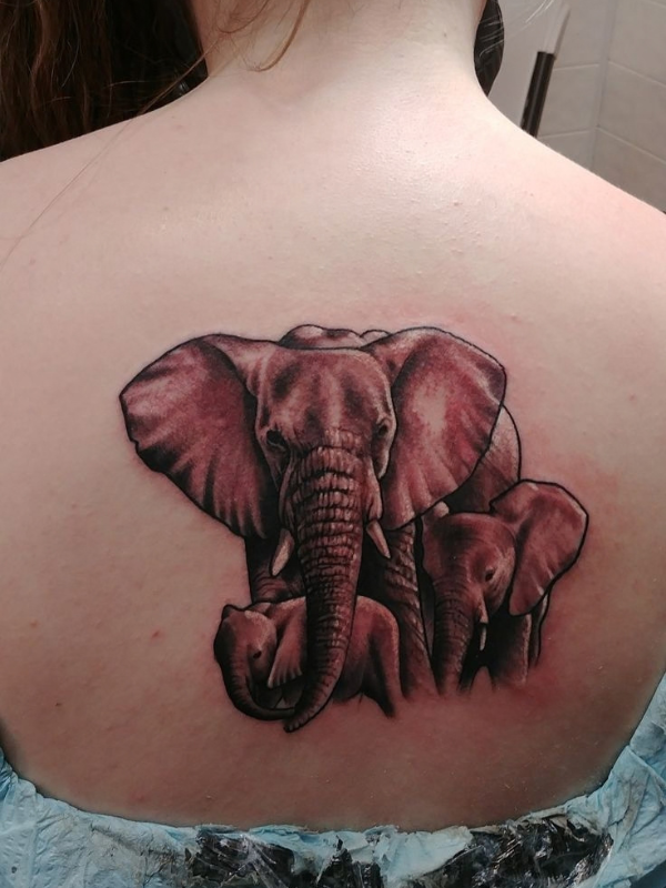 Elephant-Tattoo