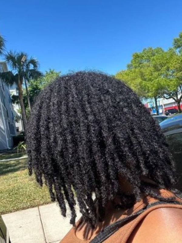 Two-Strand-Twist-Locs